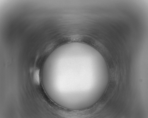 X0000054390028200508051659