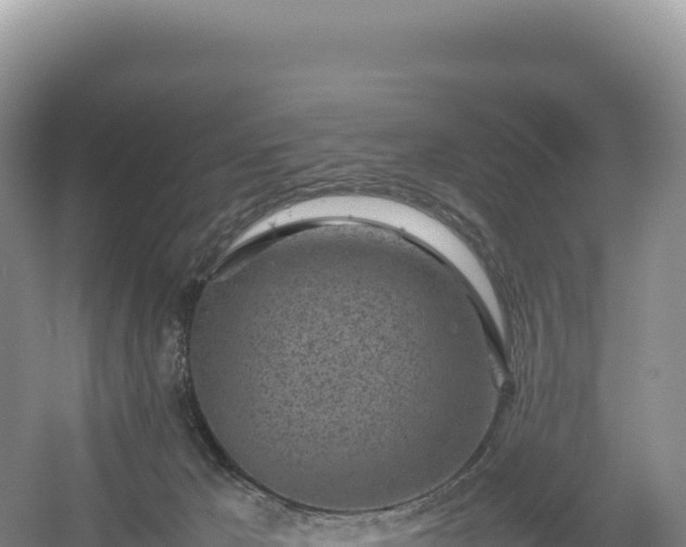 X0000054390029200508051659