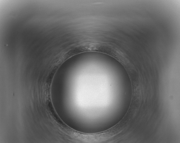 X0000054390030200508051659