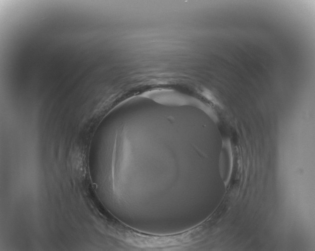 X0000054390031200508051659