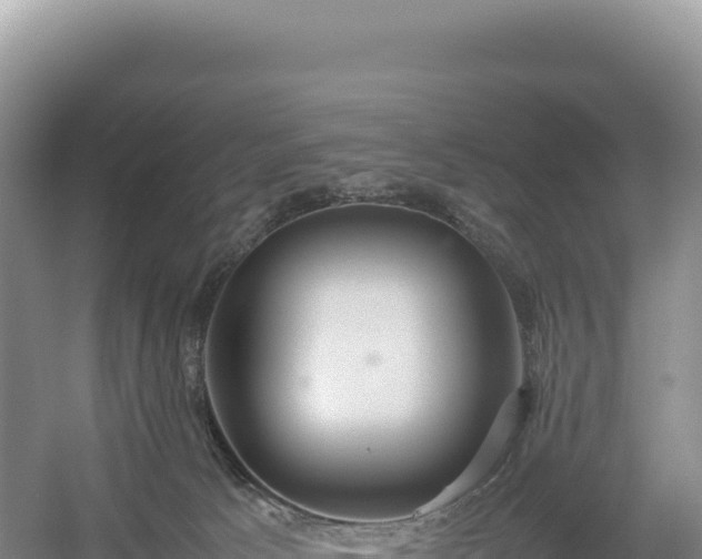 X0000054390033200508051659