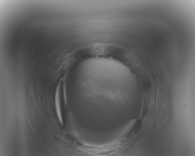 X0000054390035200508051659