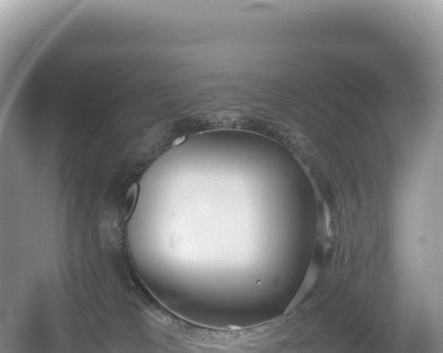 X0000054390037200508051659