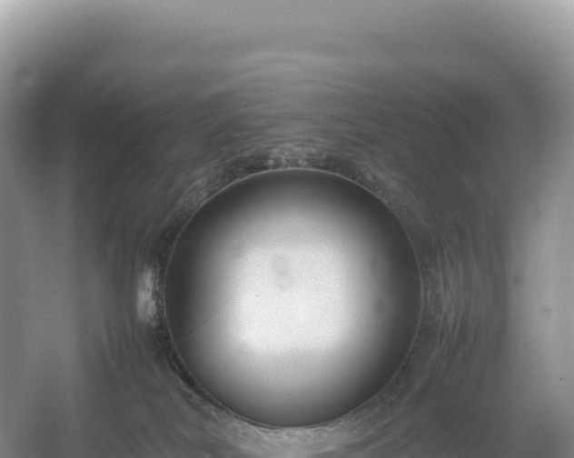 X0000054390038200508051659