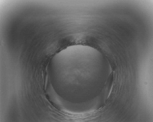 X0000054390039200508051659