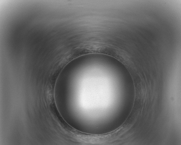 X0000054390040200508051659