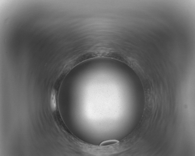 X0000054390042200508051659