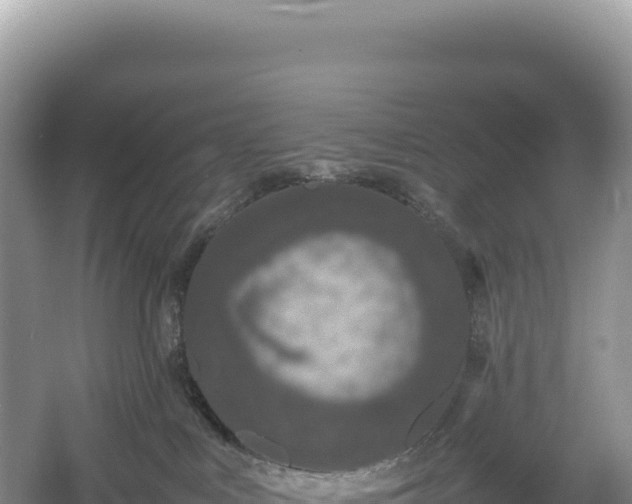 X0000054390043200508051659