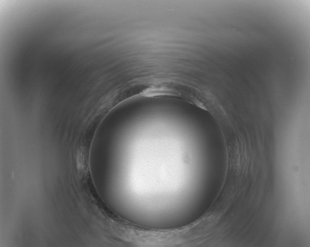 X0000054390044200508051659