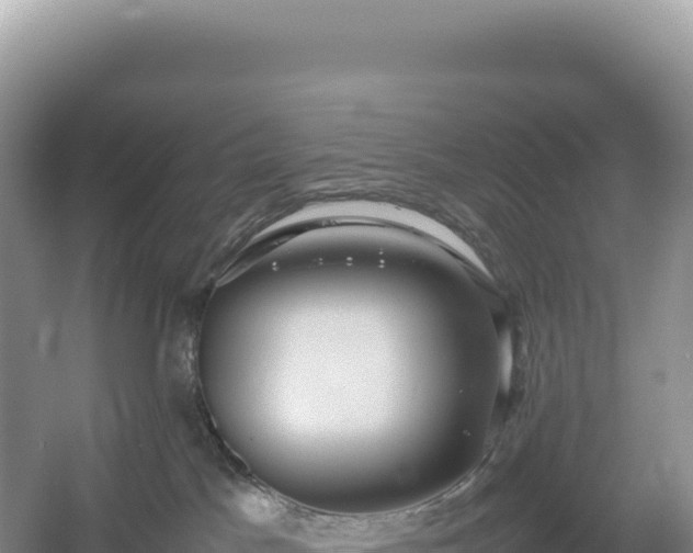 X0000054390045200508051659