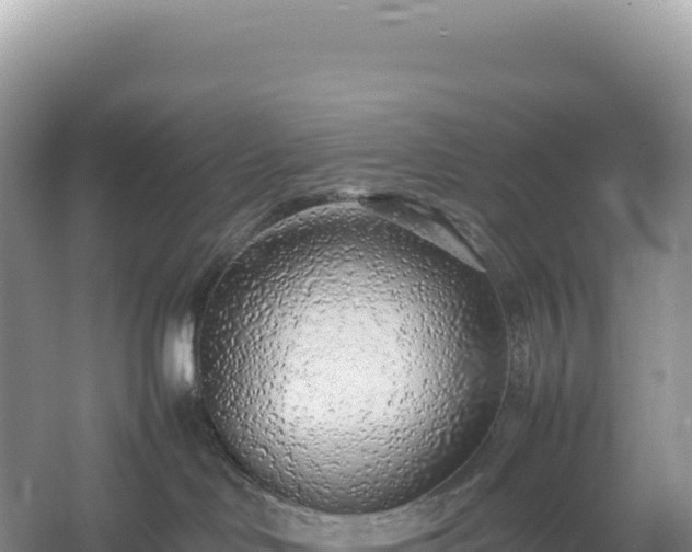 X0000054390046200508051659