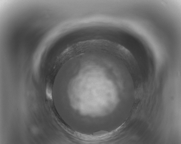 X0000054390047200508051659