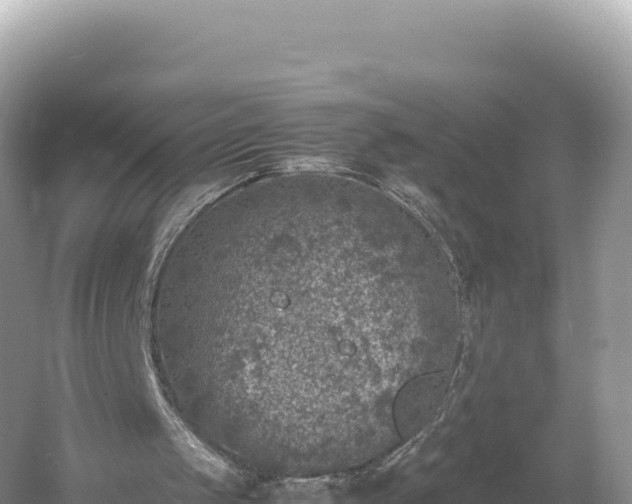 X0000054390049200508051658