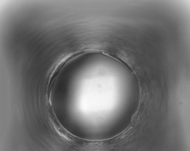 X0000054390050200508051658