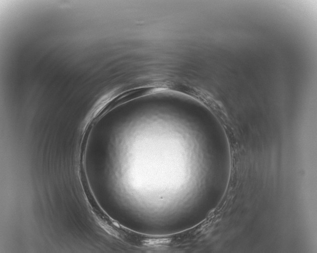 X0000054390051200508051658