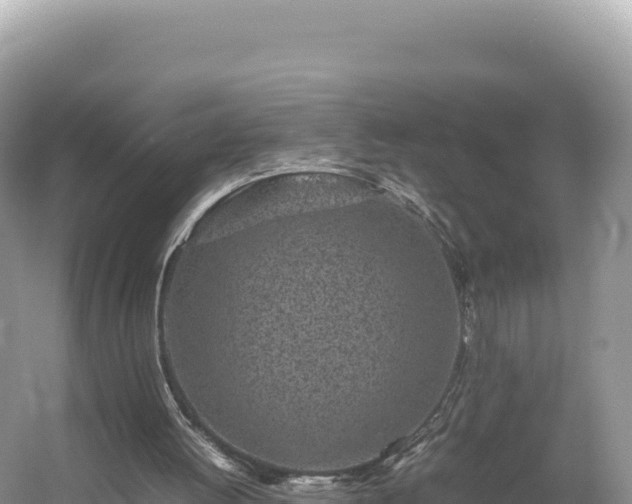 X0000054390052200508051658