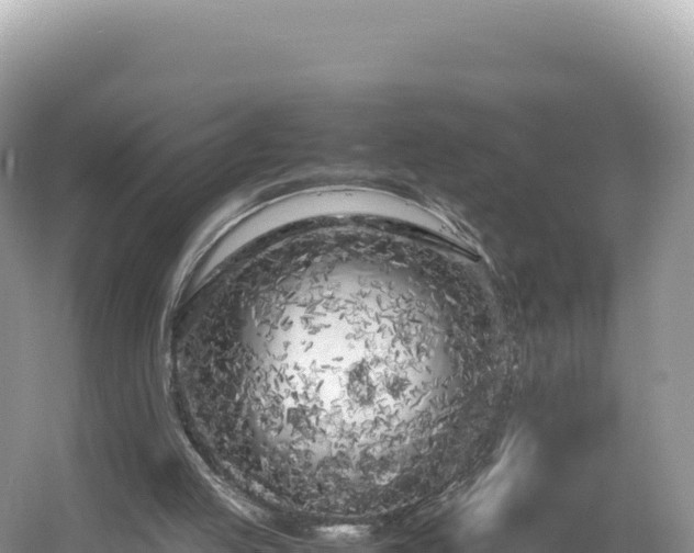 X0000054390053200508051658