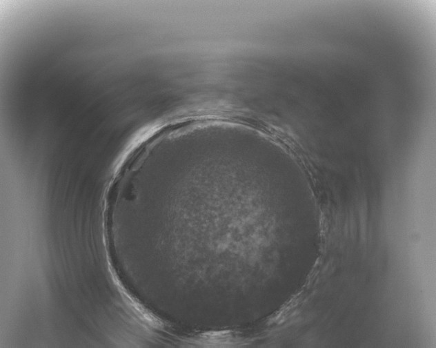 X0000054390054200508051658