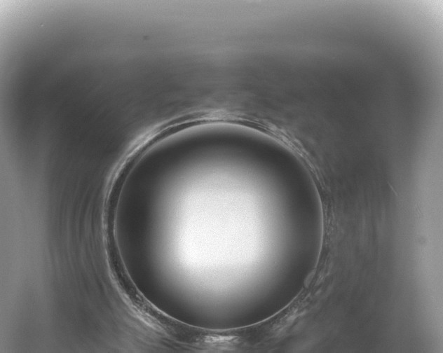 X0000054390055200508051658