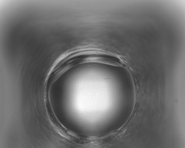 X0000054390056200508051658