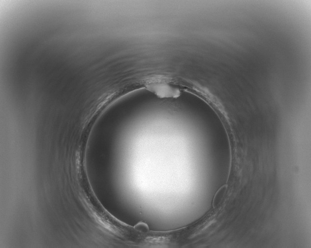 X0000054390057200508051658