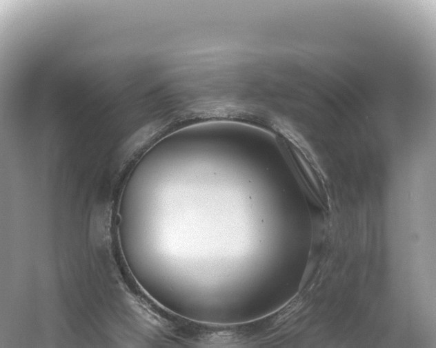 X0000054390058200508051658