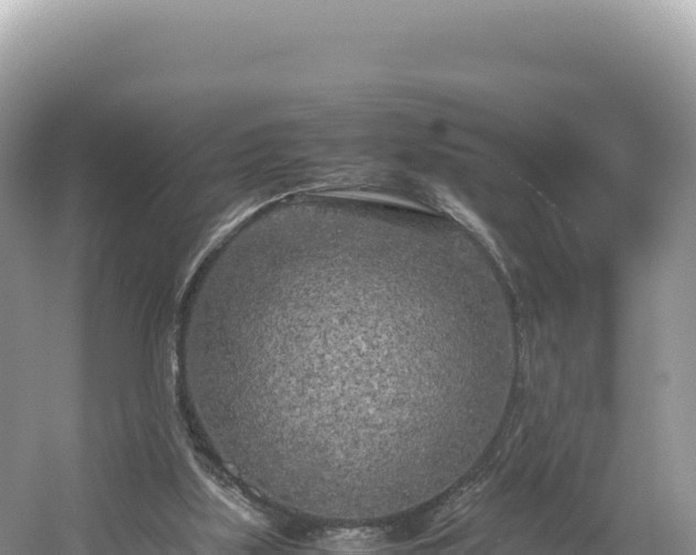 X0000054390059200508051658