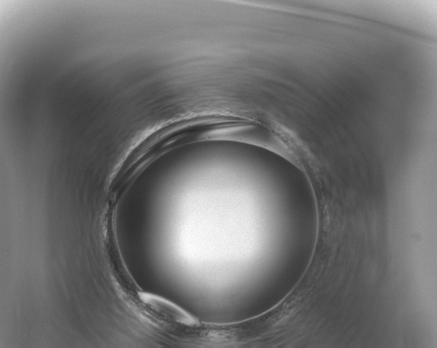 X0000054390060200508051658