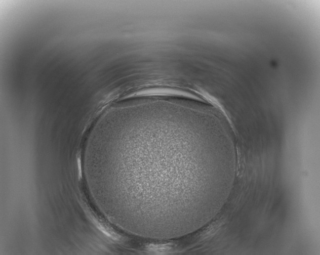 X0000054390061200508051658