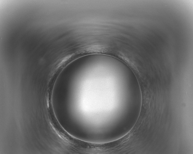 X0000054390062200508051658