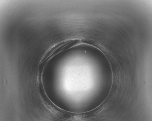 X0000054390064200508051658