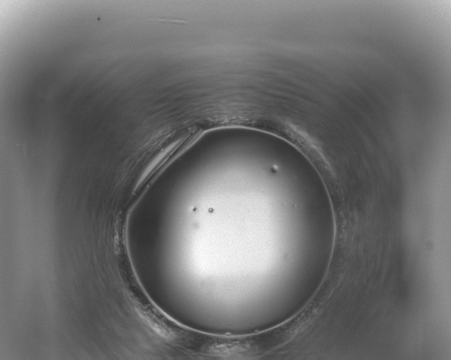 X0000054390065200508051658