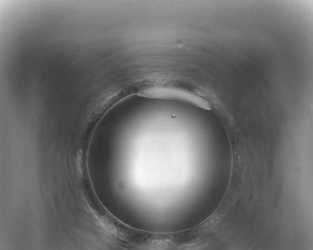 X0000054390066200508051658