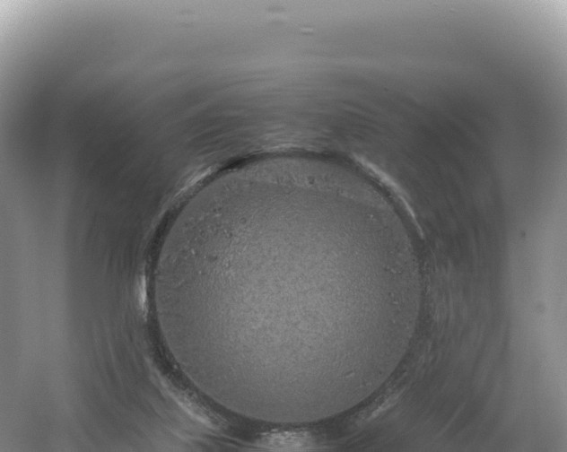 X0000054390067200508051658