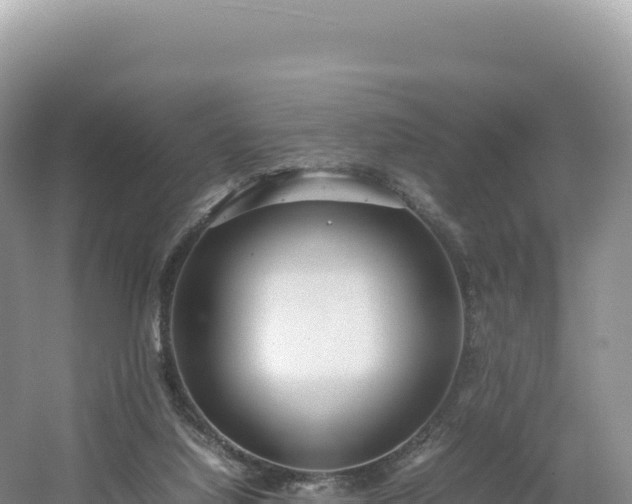 X0000054390068200508051658