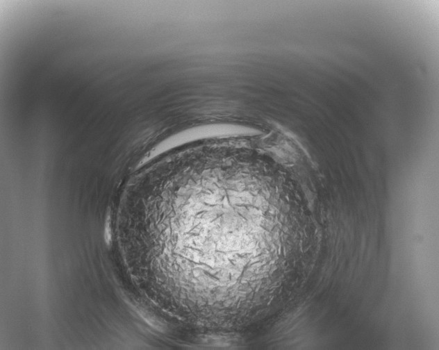 X0000054390069200508051658