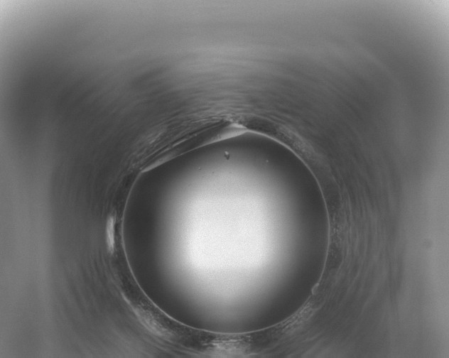 X0000054390070200508051658