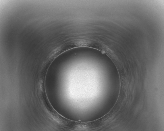 X0000054390071200508051658