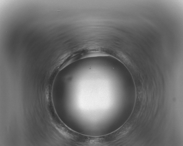 X0000054390072200508051658