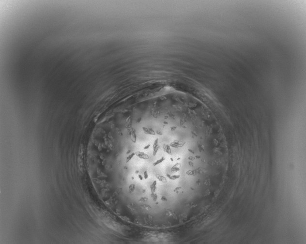 X0000054390073200508051658