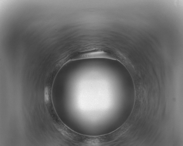 X0000054390075200508051658