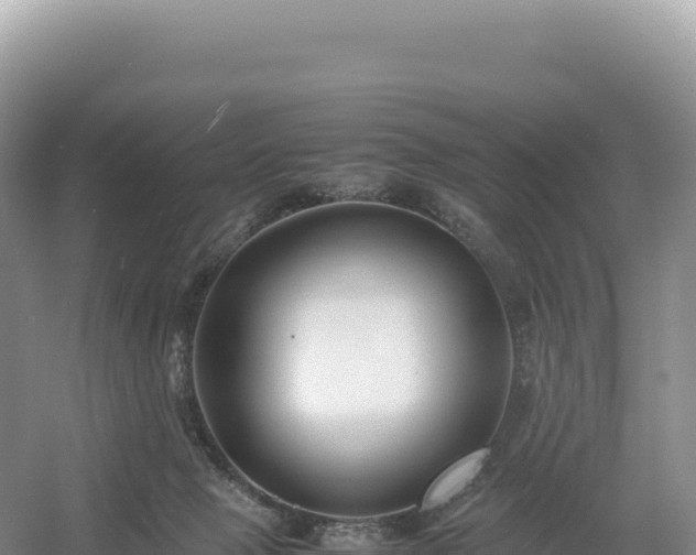 X0000054390077200508051658