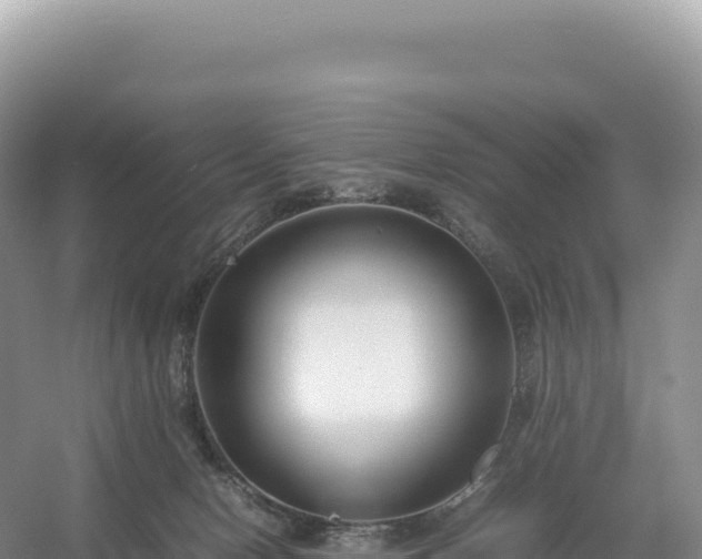 X0000054390078200508051658