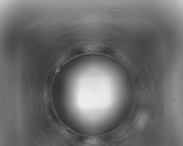 X0000054390079200508051658