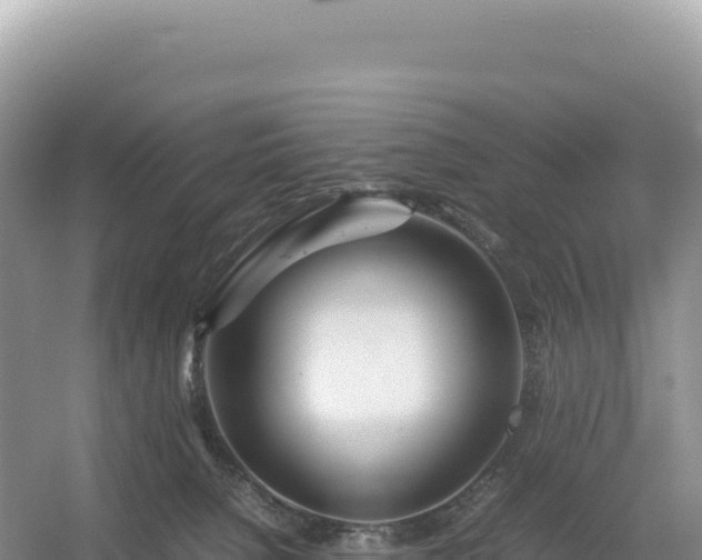 X0000054390080200508051658