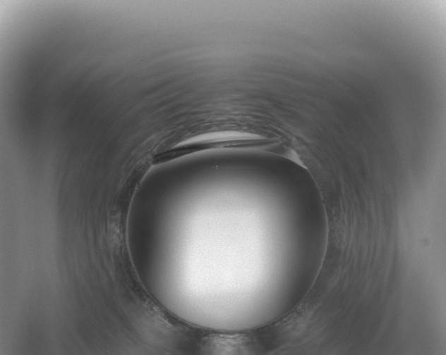 X0000054390085200508051658