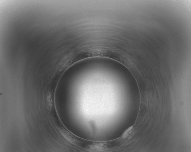 X0000054390086200508051658