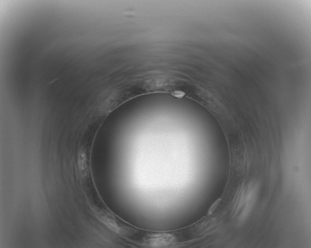 X0000054390087200508051658