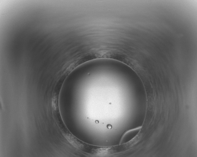 X0000054390090200508051658