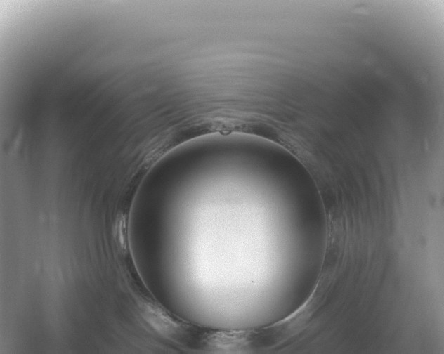 X0000054390094200508051659